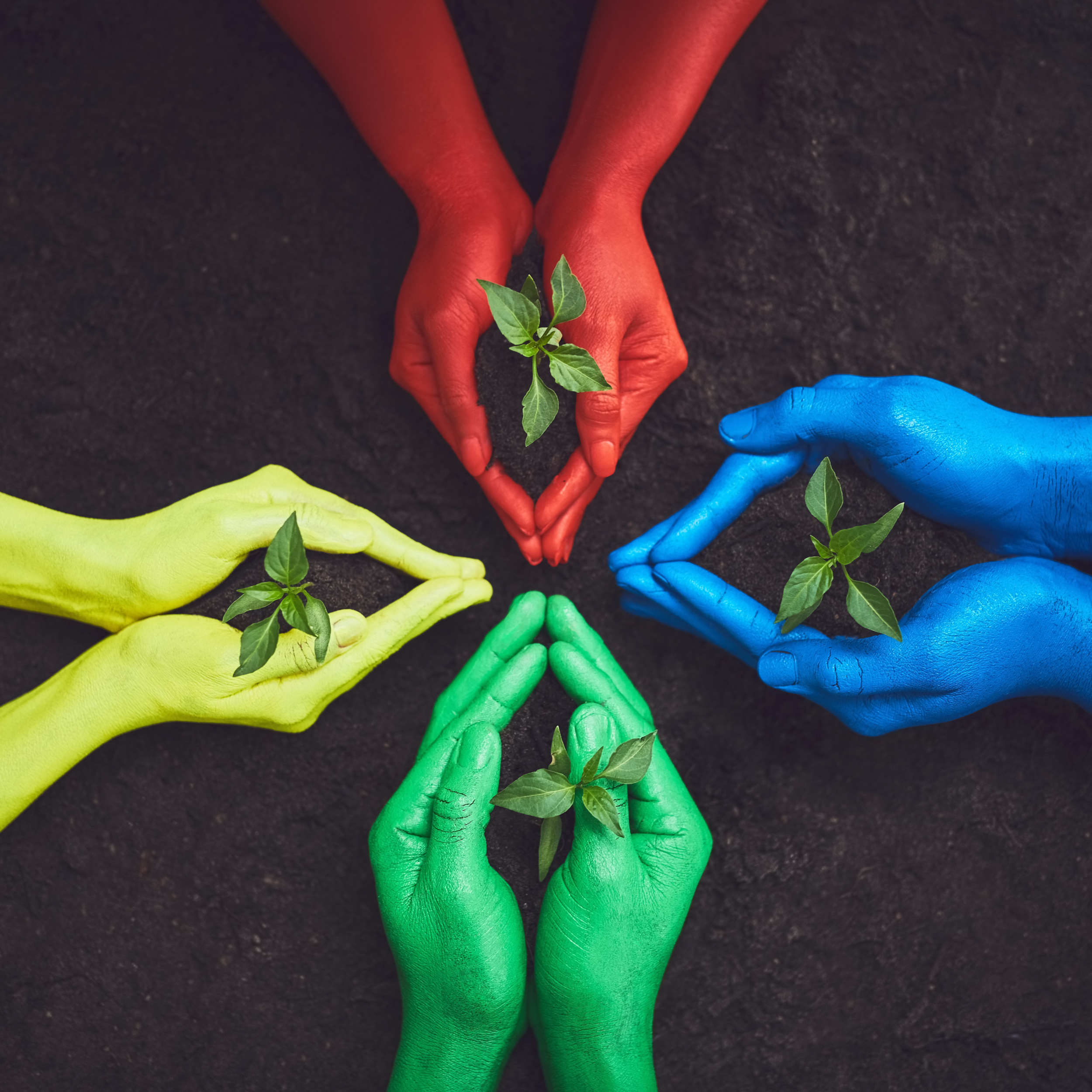 color soil hands people with plant growth sustainability eco friendly community service gardening earth day group with sprout environment ecosystem ecology nature